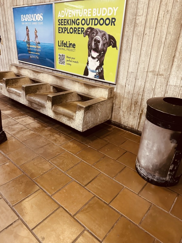 A public concrete bench under bright Delta and LifeLine Animal Project ads, with a scuffed metal trash can on a stained tile floor.